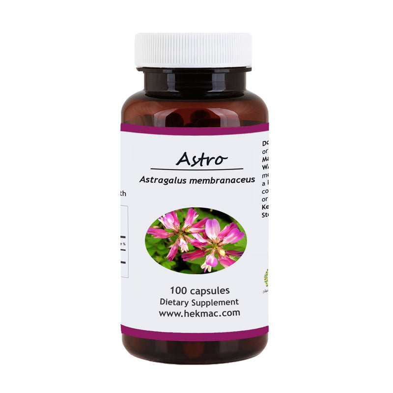 Astragalus Membranaceus Root – 100 Capsules