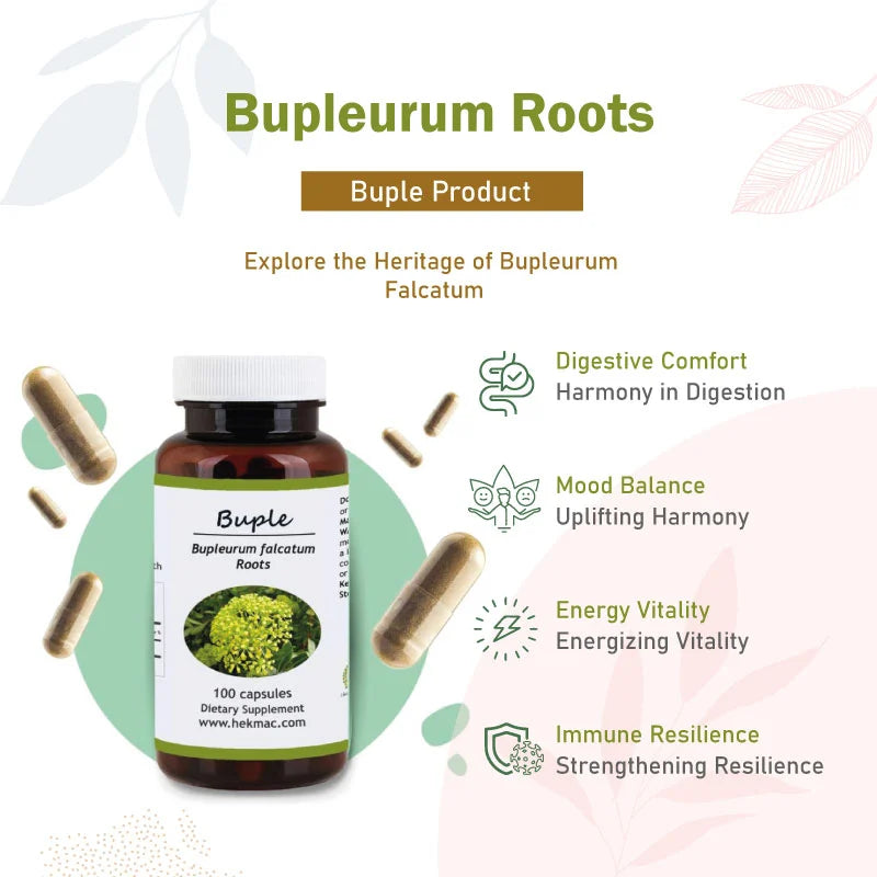 Bupleurum Falcatum Root – Organic Bupleurum Chinese – 100 Capsules