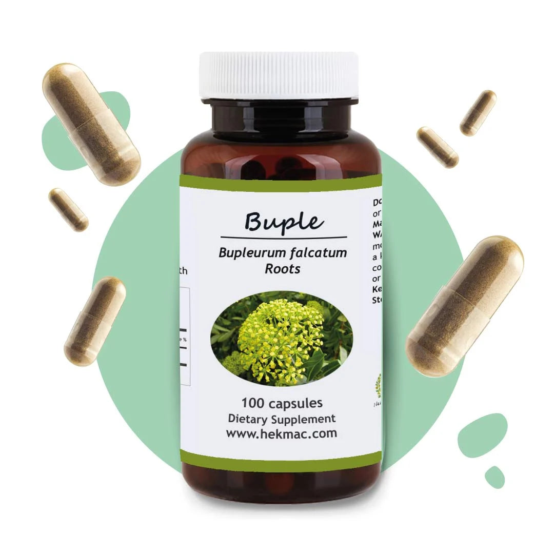 Bupleurum Falcatum Root – Organic Bupleurum Chinese – 100 Capsules