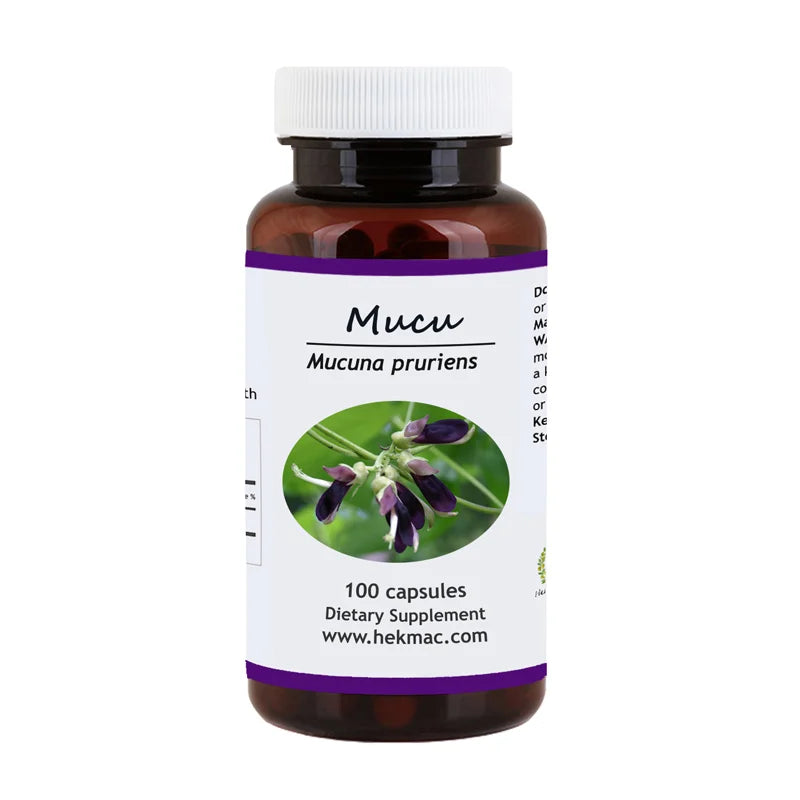 Mucuna Pruriens Seed – 100 Capsules