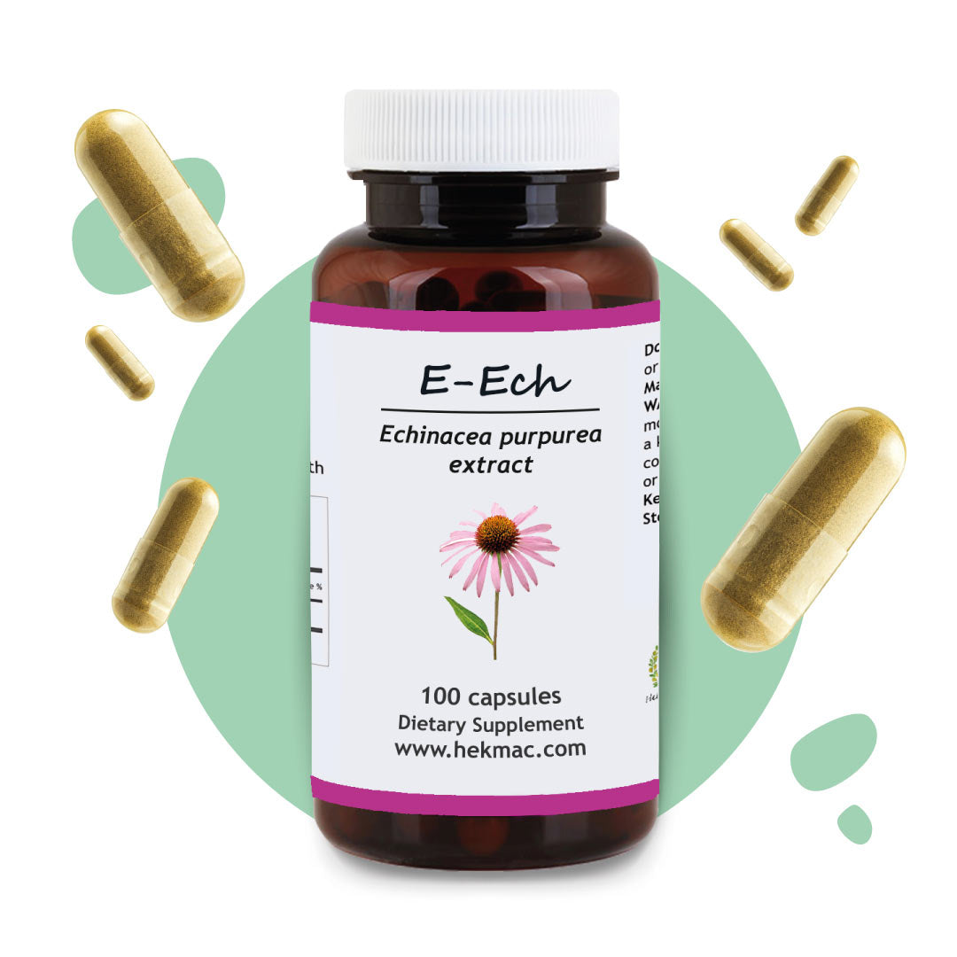 Echinacea Purpurea Extract – Organic Comb Flower – 100 Capsules