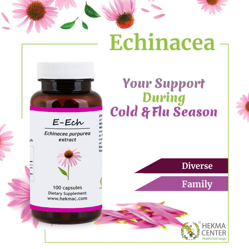 Echinacea Purpurea Extract – Organic Comb Flower – 100 Capsules