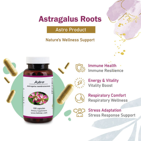 Astragalus Membranaceus Root – 100 Capsules