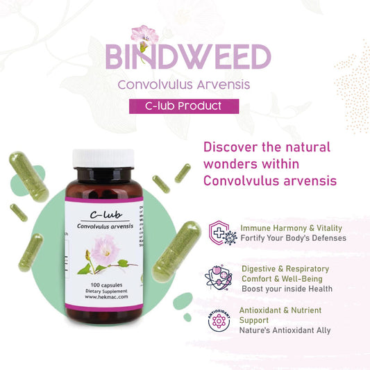 Bindweed – Organic Convolvulus Arvensis – 100 Capsules