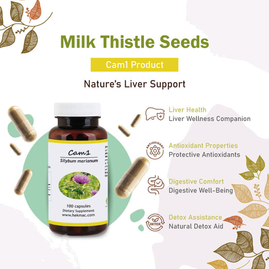 Milk Thistle Seed – Organic Silybum Marianum – 100 Capsules