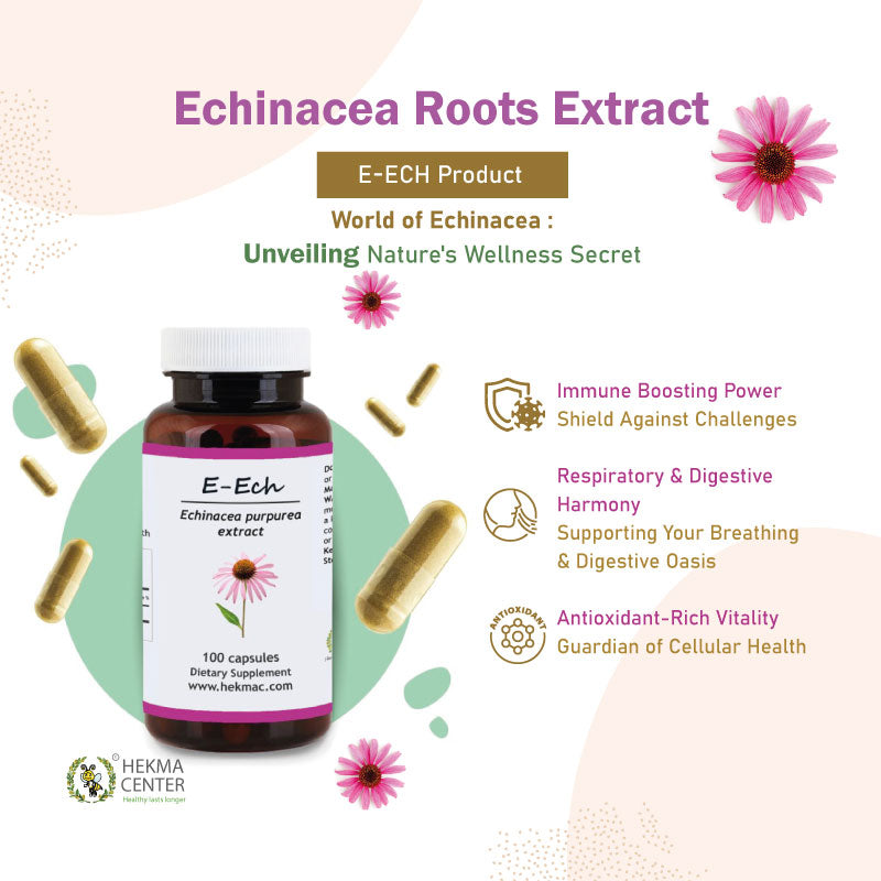 Echinacea Purpurea Extract – Organic Comb Flower – 100 Capsules