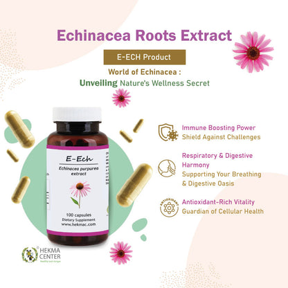 Echinacea Purpurea Extract – Organic Comb Flower – 100 Capsules