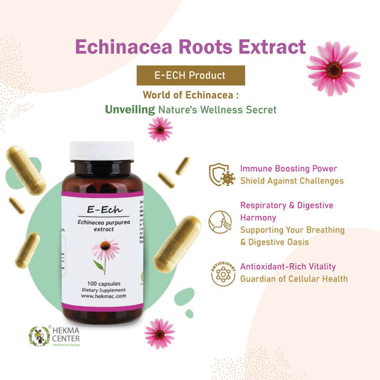 Echinacea Purpurea Extract – Organic Comb Flower – 100 Capsules