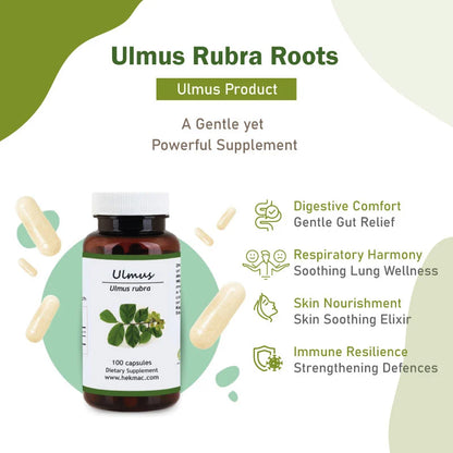 Slippery Elm Peel – Organic Ulmus Rubra – 100 Capsules