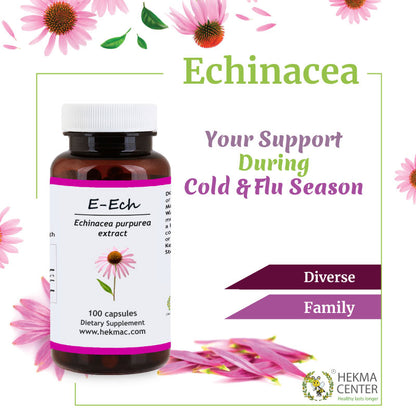 Echinacea Purpurea Extract – Organic Comb Flower – 100 Capsules